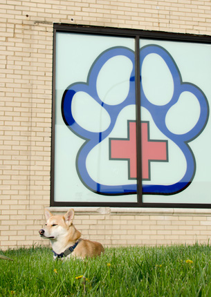 About Animal Hospital on Route 66