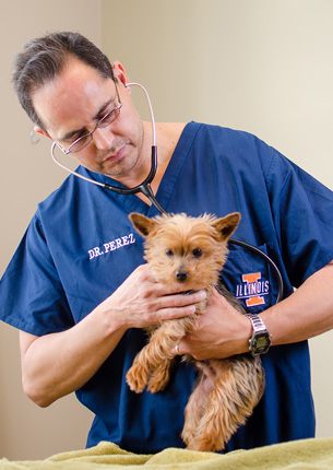 cicero, IL veterinary services